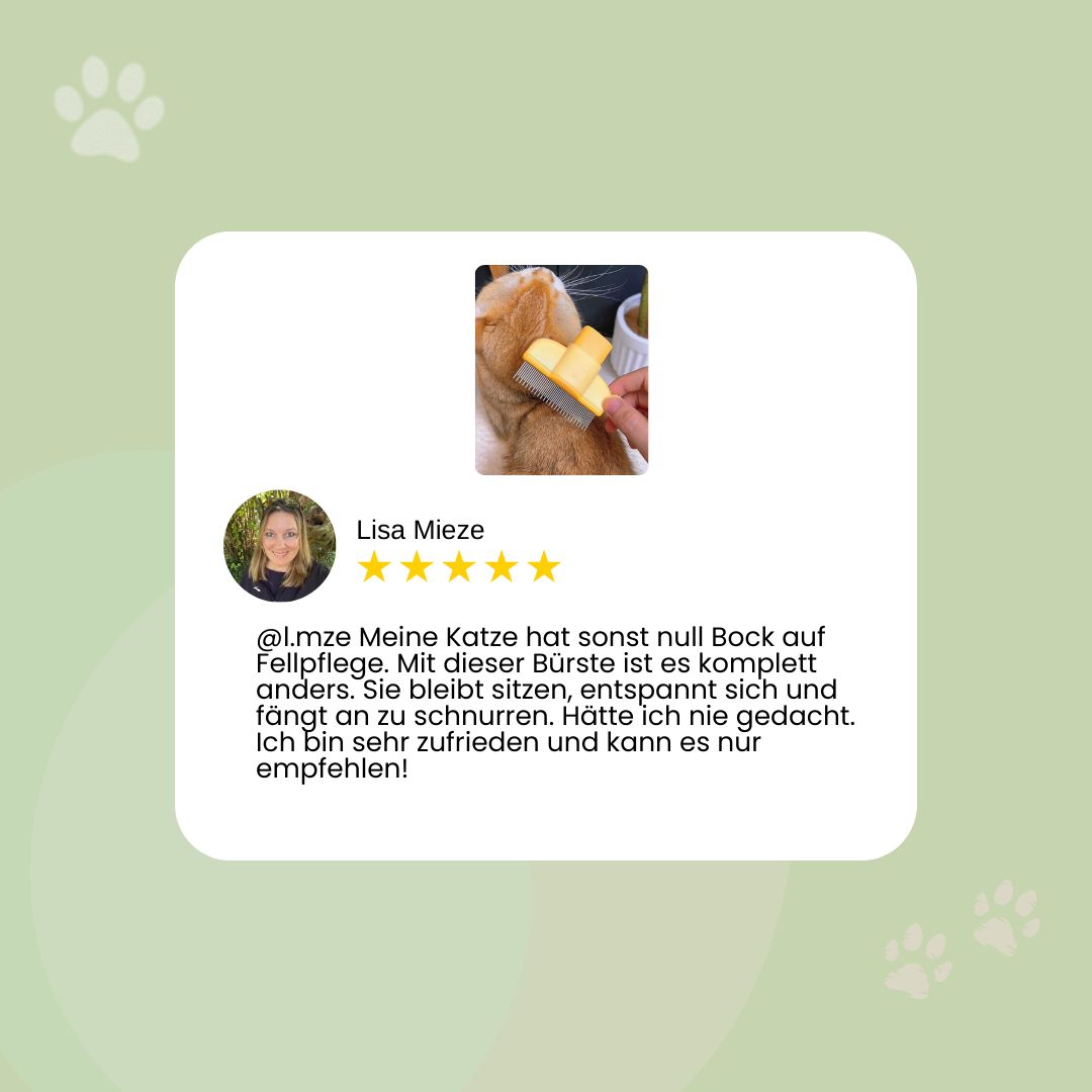 FurBrush – die Fellbürste, die dein Haustier liebt und dein Zuhause sauber hält.