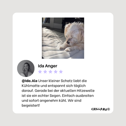 ChillPaw® Kühlmatte- damit dein Hund cool bleibt