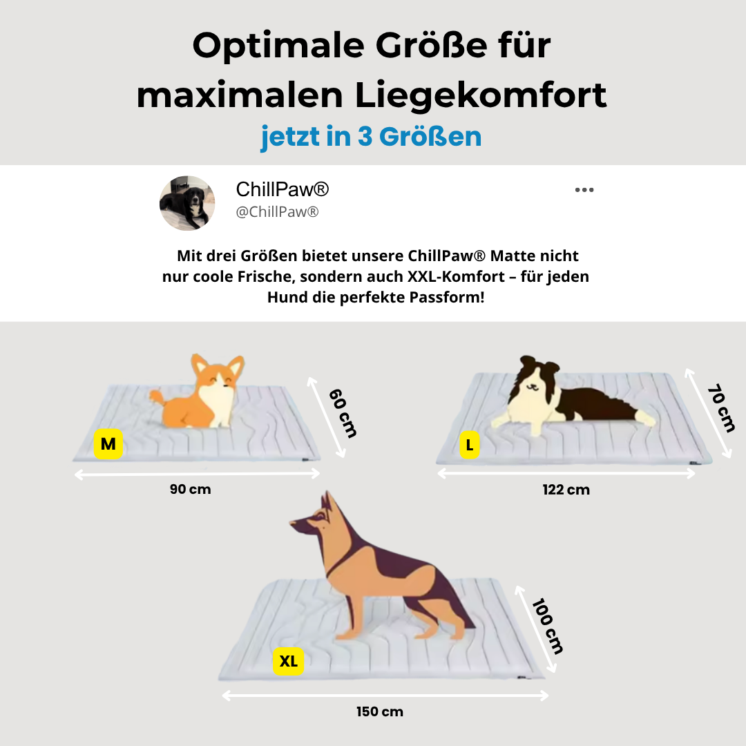 ChillPaw® Kühlmatte- damit dein Hund cool bleibt