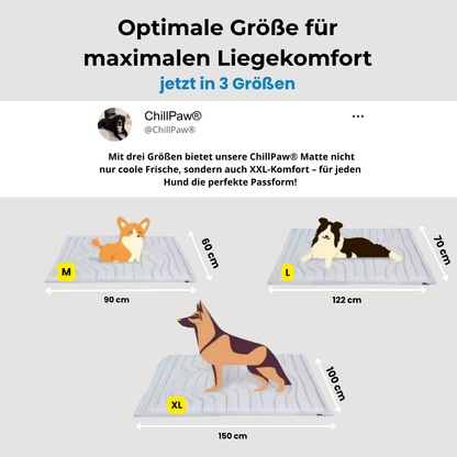 ChillPaw® Kühlmatte- damit dein Hund cool bleibt