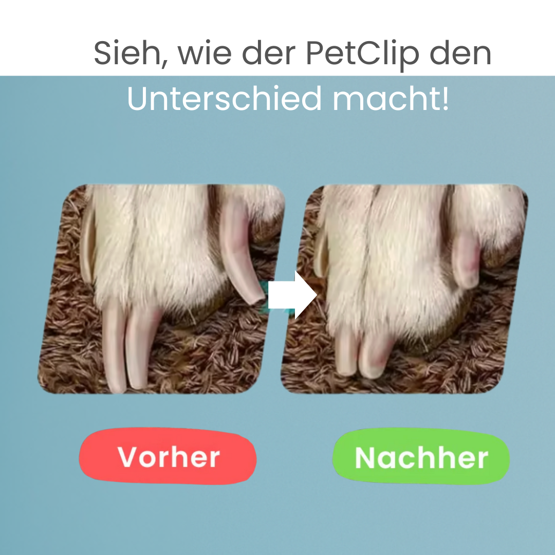 PetClip – Schluss mit Blutungen, Splittern und Tierarztkosten