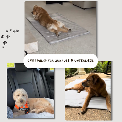 ChillPaw® Kühlmatte- damit dein Hund cool bleibt