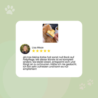 FurBrush – die Fellbürste, die dein Haustier liebt und dein Zuhause sauber hält.